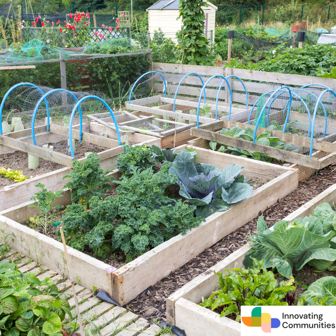Universal Design Community Gardens and Allotments in North County Louth
